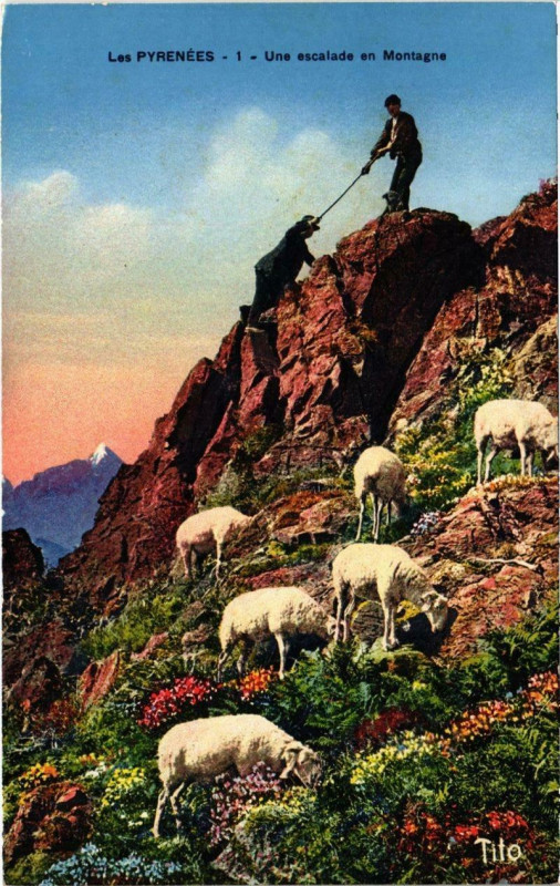 Carte postale ancienne Une escalade en Montagne à Escala