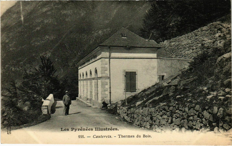 Carte postale ancienne Cauterets Thermes du Bois-Les Pyrénées à Cauterets