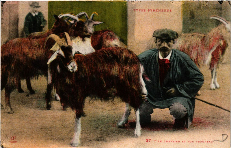 Carte postale ancienne Types Pyrenées Le Chevrier et son Troupeau
