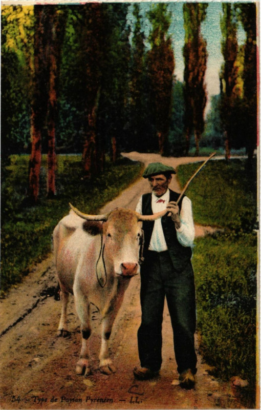 Carte postale ancienne Type de Paysan Pyrenéen