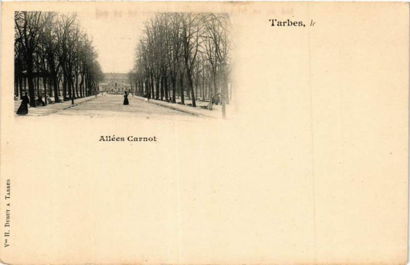 Carte postale ancienne Tarbes Allées Carnot à Tarbes