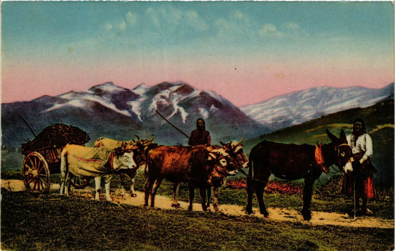 Carte postale ancienne Tableaux Pyrenées Un attelage montagnard à Mont