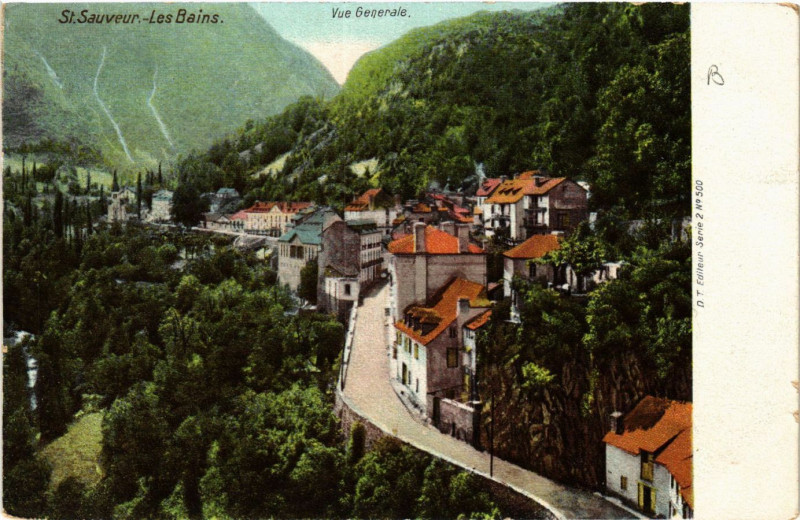 Carte postale ancienne Saint-Sauveur-les-Bains Vue générale