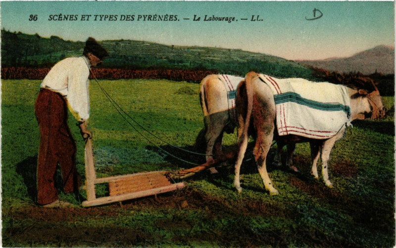 Carte postale ancienne Scenes et Types des Pyrenées La Labourage