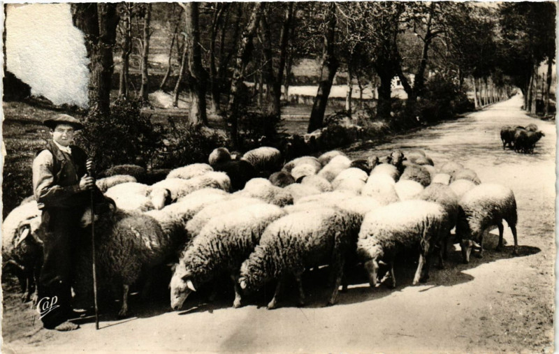 Carte postale ancienne Scenes et Types des Pyrenées Berger des Pyrenées à Ger
