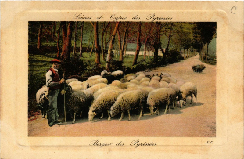 Carte postale ancienne Scenes et Types des Pyrenées Berger des Pyrenées à Ger