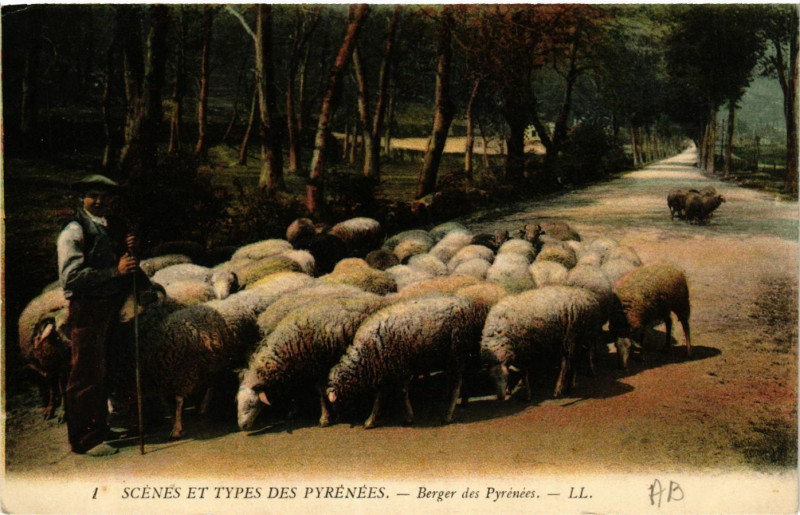 Carte postale ancienne Scenes et Types des Pyrenées Berger des Pyrenées à Ger