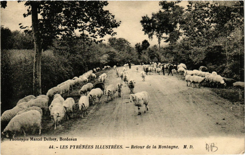 Carte postale ancienne Les Pyrenées Illustrées Retour de la Montagne à Mont
