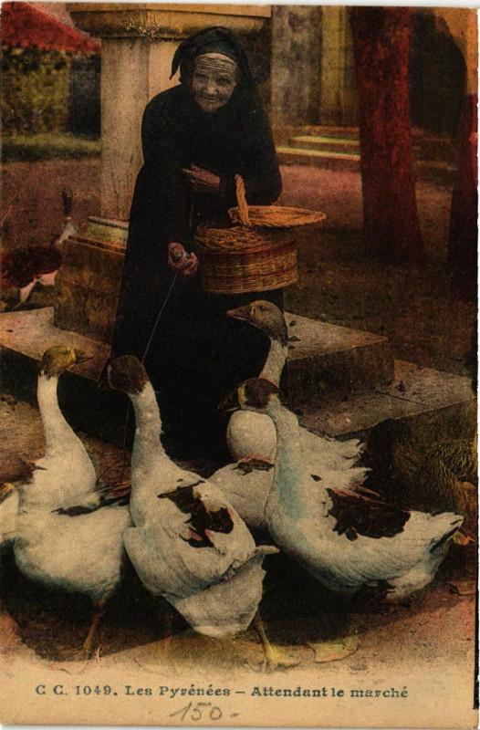 Carte postale ancienne Les Pyrenées Attendant le Marché