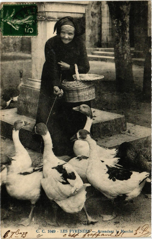 Carte postale ancienne Les Pyrenées Attendant le Marché