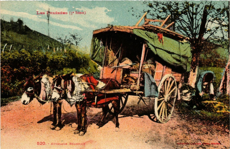 Carte postale ancienne Les Pyrenées Attelage BEARNais