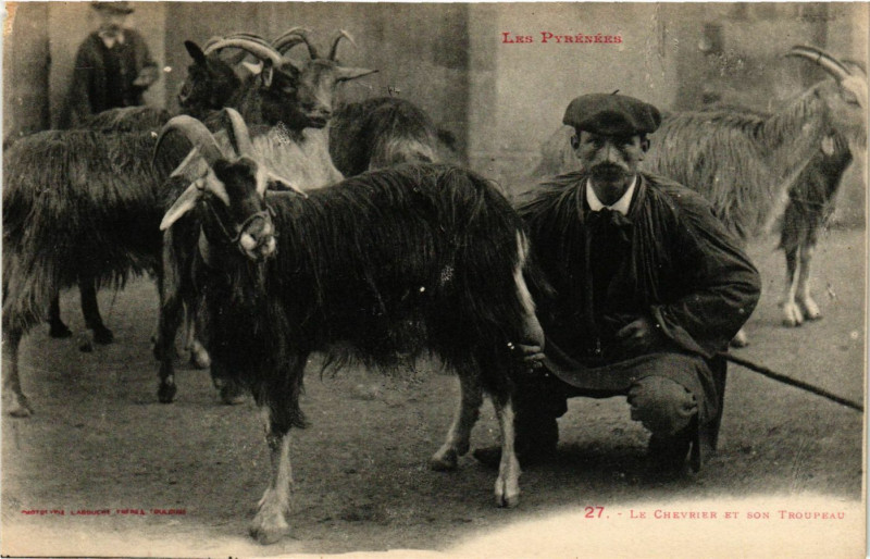 Carte postale ancienne Le Chevrier et son Troupeau