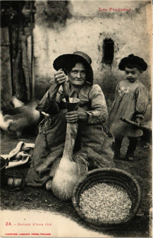 Carte postale ancienne Gavage d'une Oie