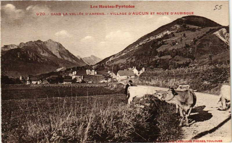 Carte postale ancienne Dans la Vallée d'Arrens Village d'Aucun et Route d'Aubisque à Aucun