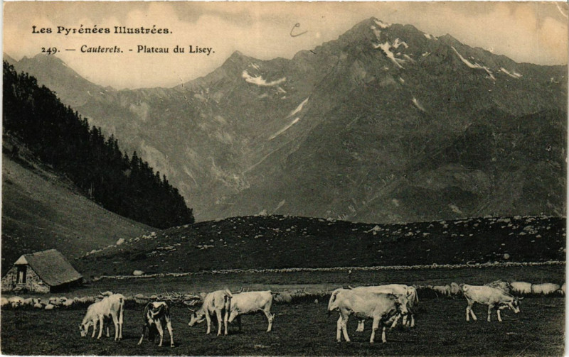 Carte postale ancienne Cauterets Plateau du Lisey à Cauterets