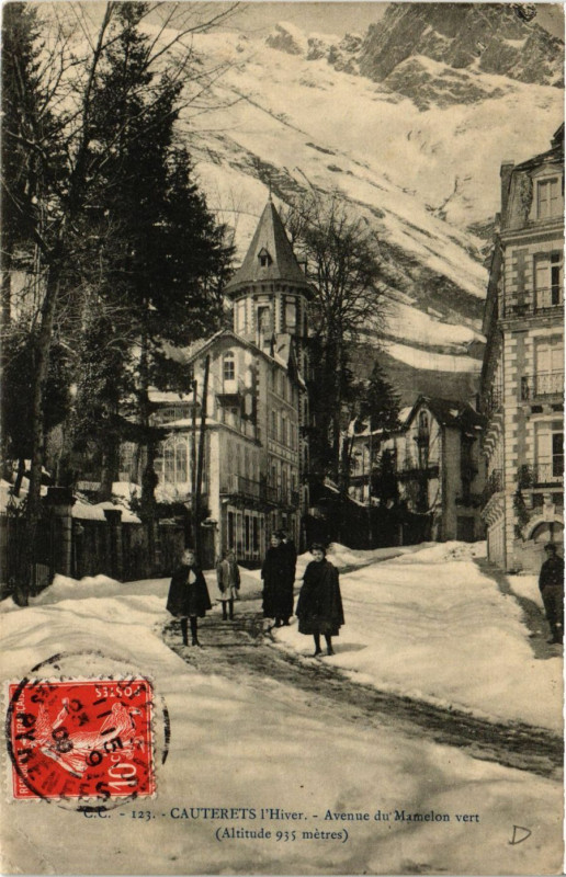 Carte postale ancienne Cauterets l'hiver-Avenue du Mamelon Vert à Cauterets