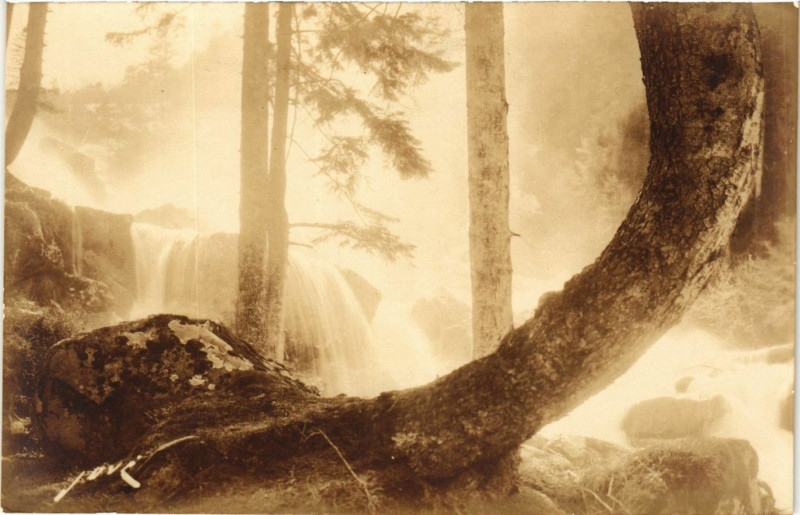 Carte postale ancienne Cauterets Cascade du Pas de l'Ours à Cauterets
