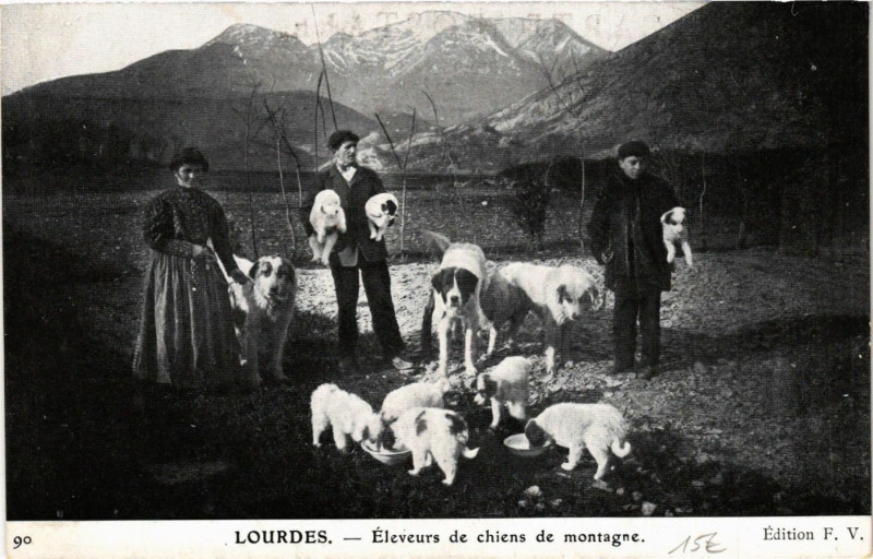 Carte postale ancienne Lourdes - Eleveurs de chiens de montagne à Lourdes
