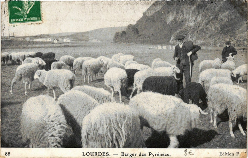 Carte postale ancienne Lourdes - Berger des Pyrenées à Lourdes