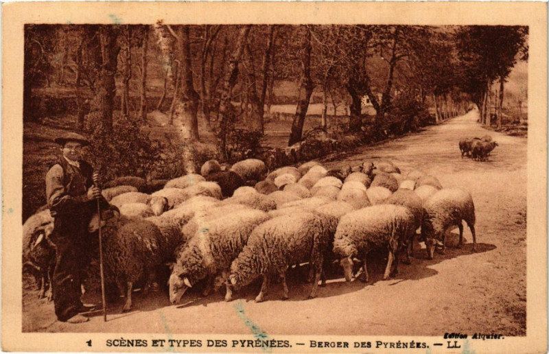 Carte postale ancienne Scenes et Types des Pyrenées - Berger des Pyrenées à Ger