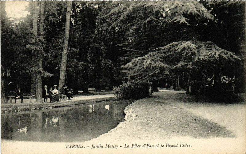 Carte postale ancienne Tarbes - Jardin Massey La Piece d'Eau et le Grand Cedre à Tarbes