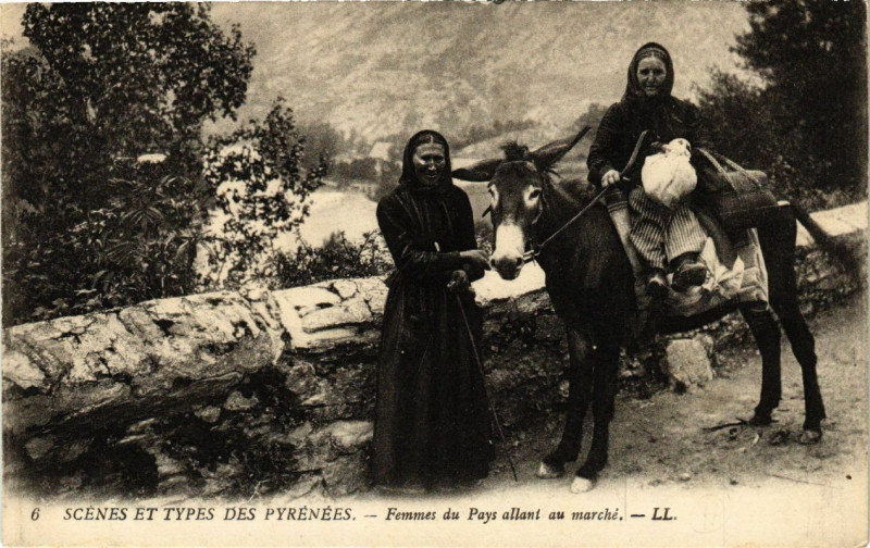 Carte postale ancienne Scenes et Types des Pyrenées - Femmes du pays allant au Marché