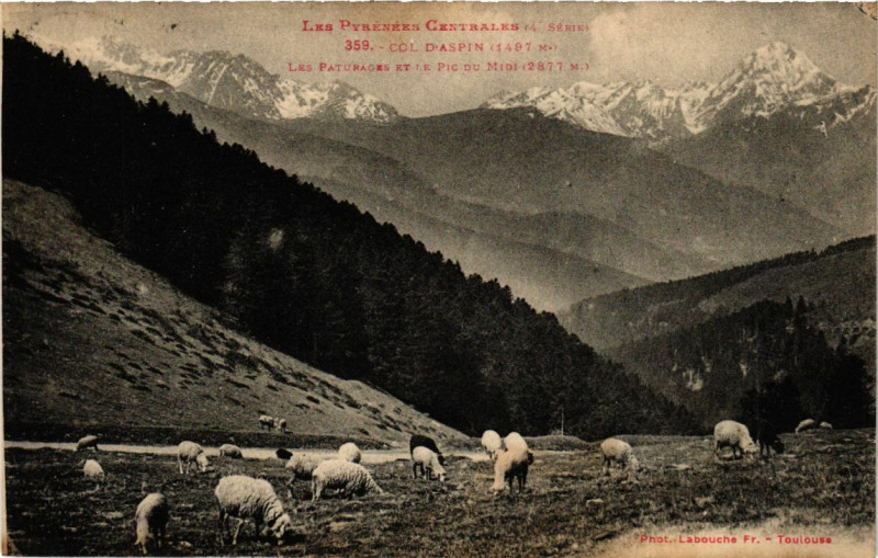 Carte postale ancienne Col d'Aspin - Les Paturages et le Pic du Midi