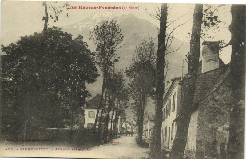 Carte postale ancienne Les Hautes-Pyrenées Pierrefitte - Avenue d'Argeles