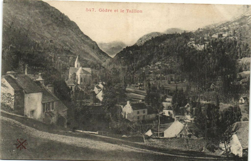 Carte postale ancienne Cedre et le Taillon