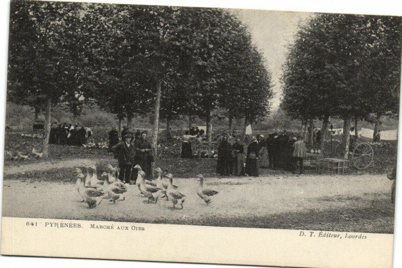 Carte postale ancienne Pyrenées - Marché aux Oles