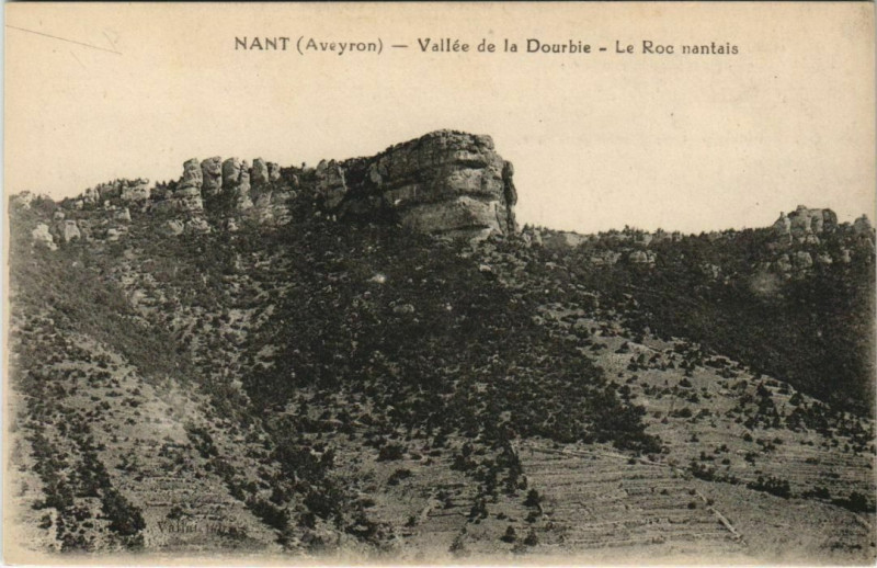 Carte postale ancienne Nant - Vallée de la Dourbie à Nant
