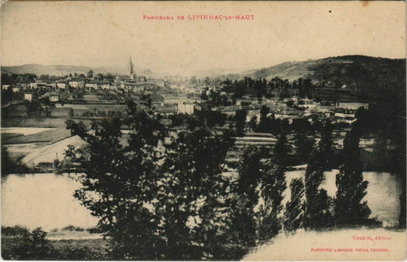 Carte postale ancienne Panorama de Livinhag-le-Haut