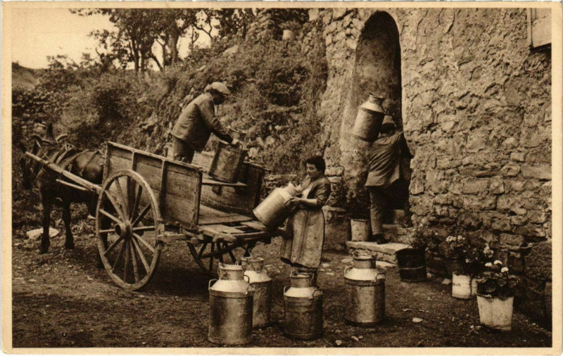 Carte postale ancienne Roquefort - Reception du Lait