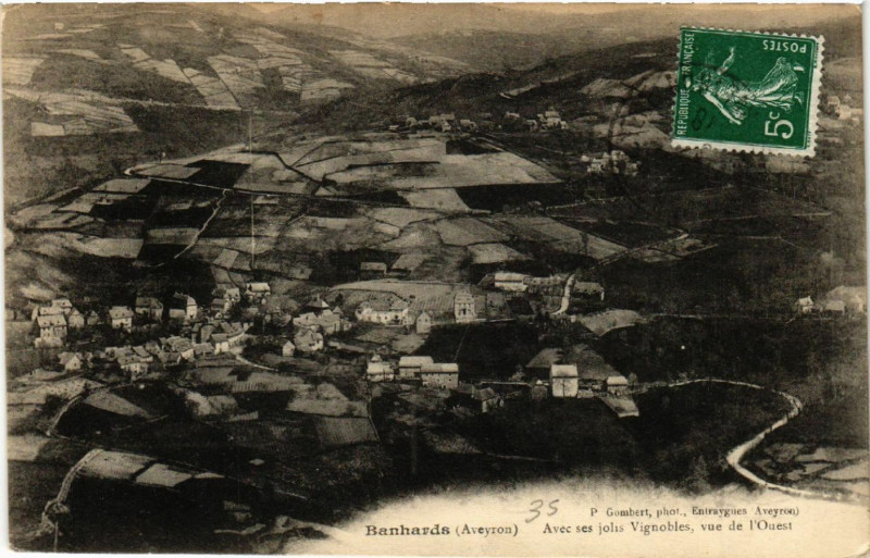 Carte postale ancienne Banhards - Avec ses jolis Vignobles