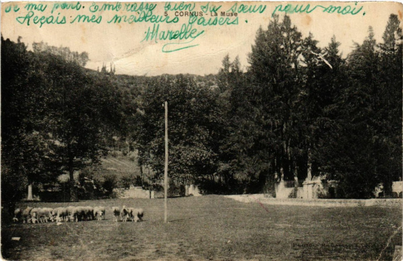 Carte postale ancienne Cornus - La Muse à Cornus