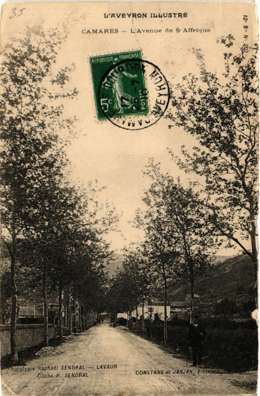 Carte postale ancienne Camares - L'Avenue de S Affrique à Camarès