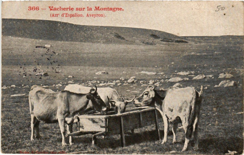 Carte postale ancienne Vacherie sur la Montagne