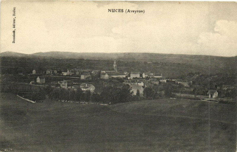 Carte postale ancienne Nuces