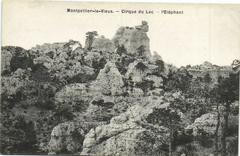 Carte postale ancienne Montpellier-le-Vieux - Cirque du Lac - L'Elephant