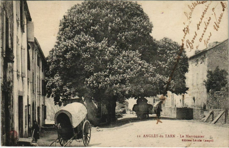 Carte postale ancienne Angles Le Marronnier à Anglès