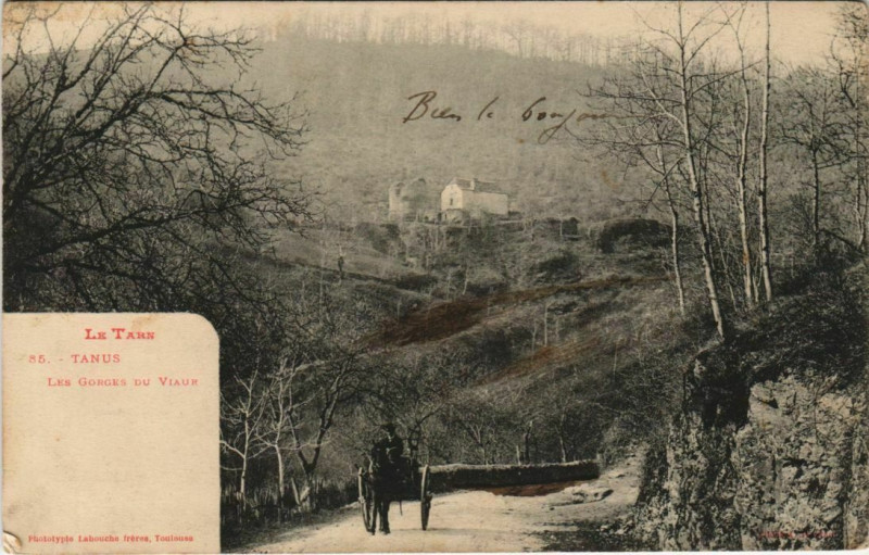 Carte postale ancienne Tanus Les Gorges du Viaur à Tanus