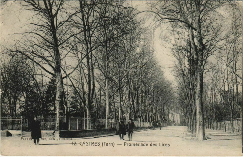 Carte postale ancienne Castres Promenade des Lices à Castres