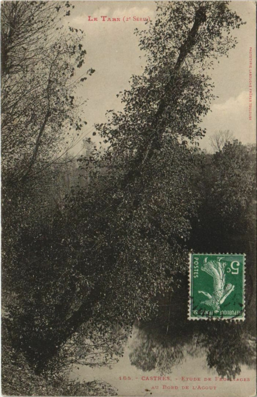 Carte postale ancienne Castres Etude de Feuillages - Au Bord de l'Agout à Castres