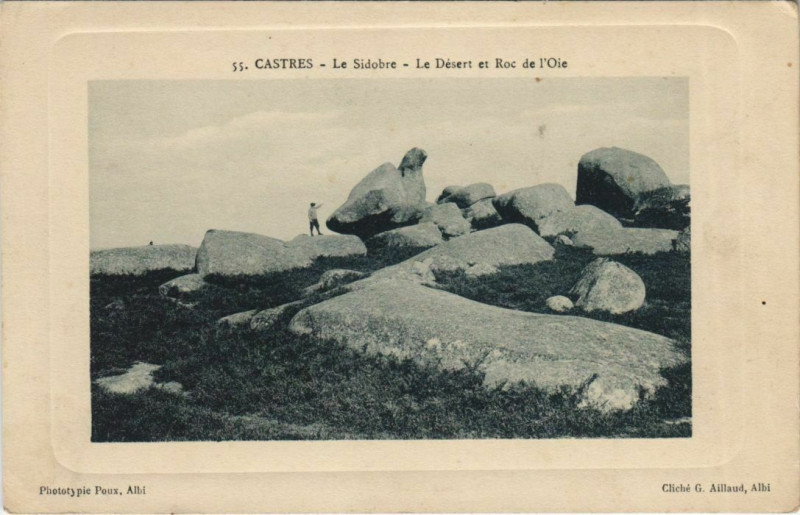 Carte postale ancienne Castres Le Sidobre - Le Desert et Roc de l'Oie à Castres