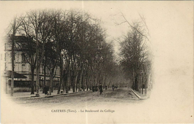 Carte postale ancienne Castres Le Boulevard à Castres