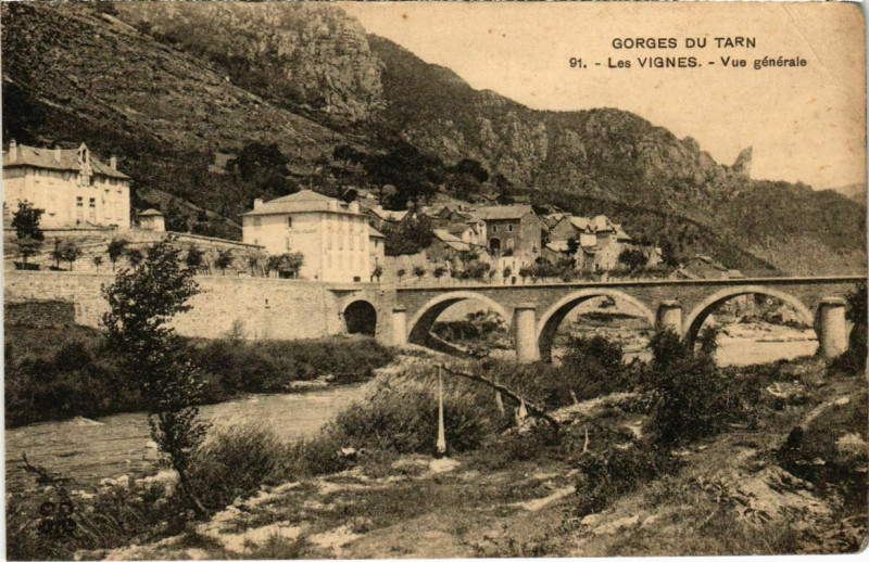 Carte postale ancienne Les Vignes - Vue générale