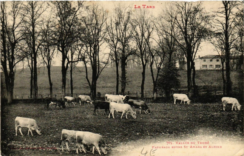 Carte postale ancienne Vallée du THORe