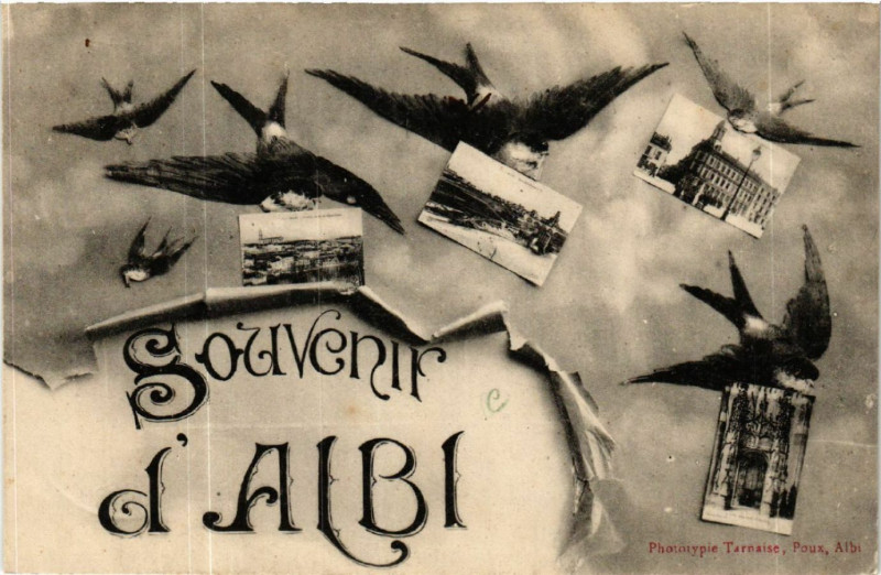 Carte postale ancienne Souvenir d'Albi à Albi