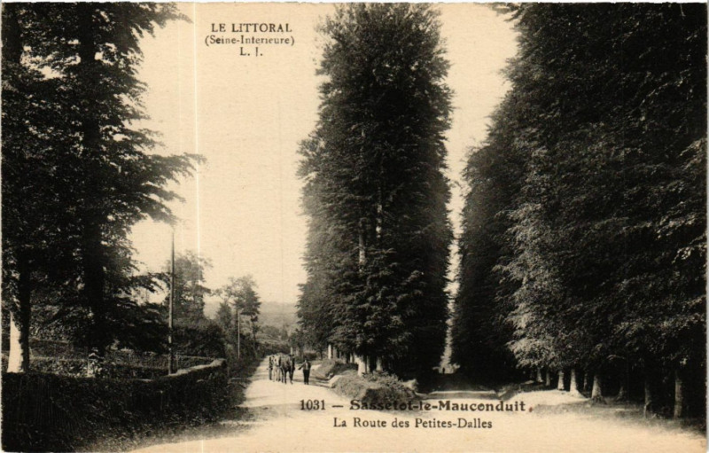 Carte postale ancienne Sassetot le Mauconduit