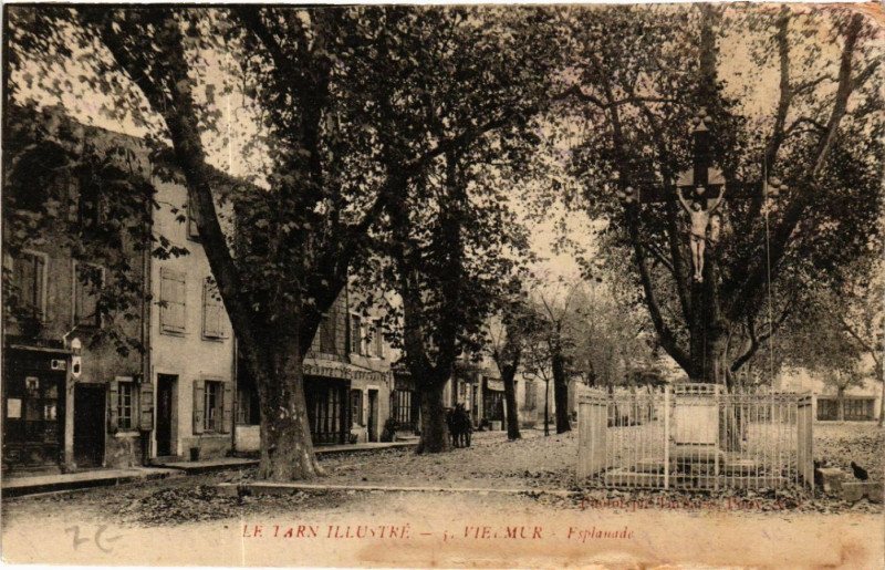 Carte postale ancienne Le Tarn Illustre - Vielmur